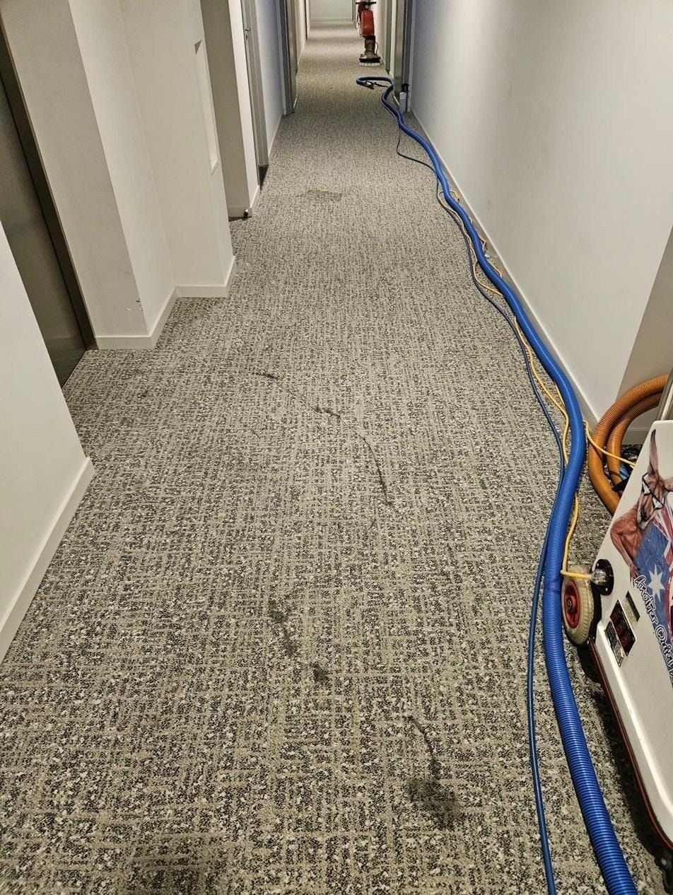 Commercial carpet before cleaning