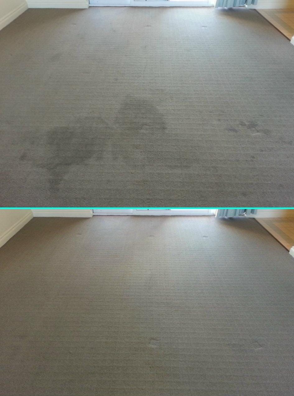 Clean residential carpet after professional carpet cleaning